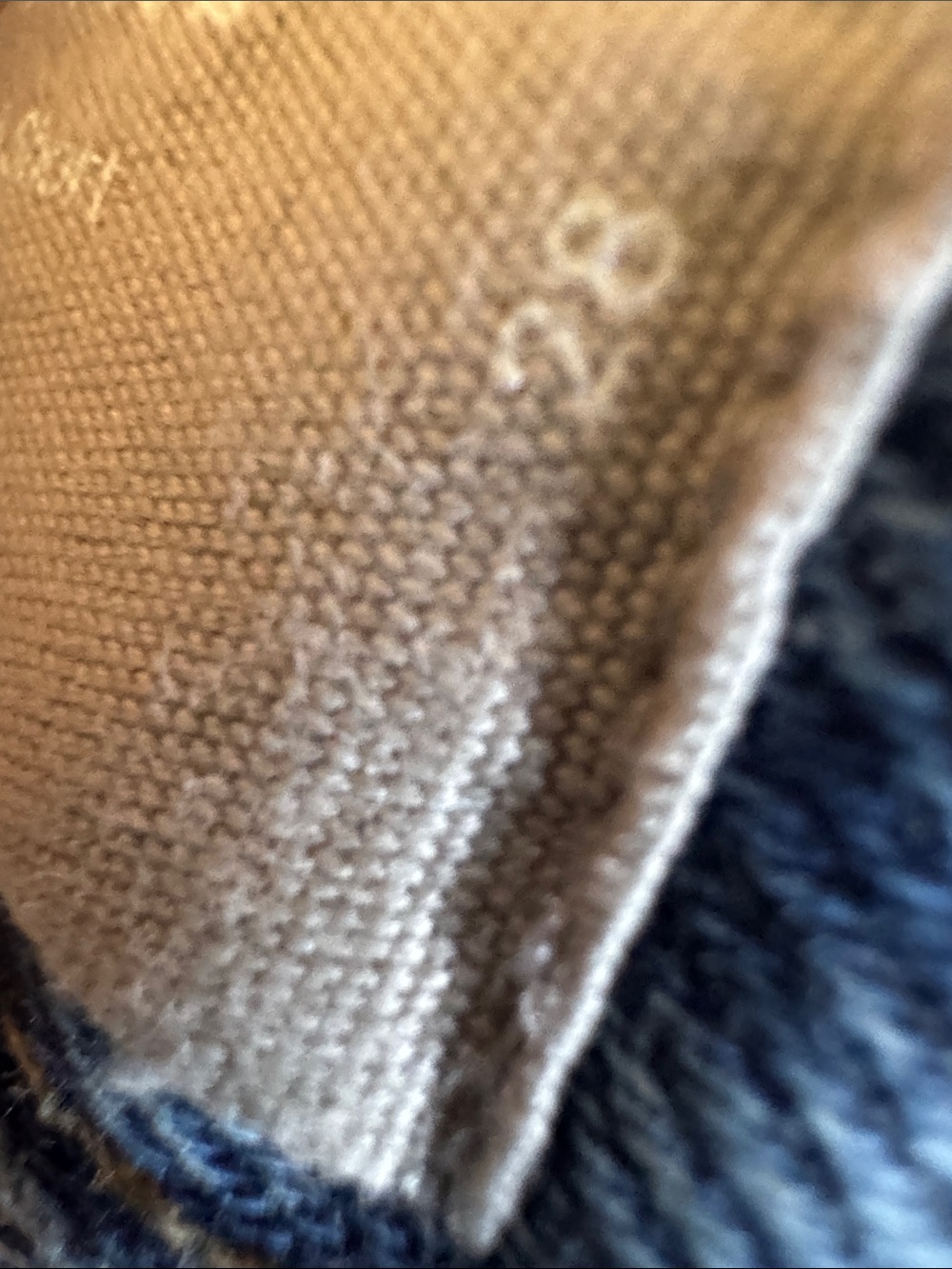 Everlane The Rigid Way High Short - Picture 3 of 7